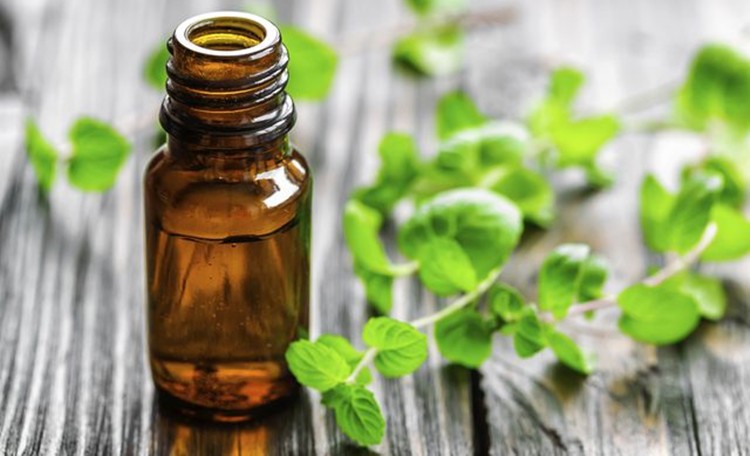 beneficios do oleo de oregano