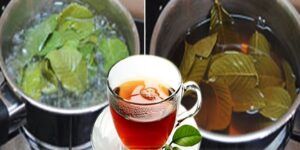 Chá de Folha de Goiaba