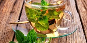 Benefícios beneficios-do-cha-de-hortela-para-saude Chá de Hortelã