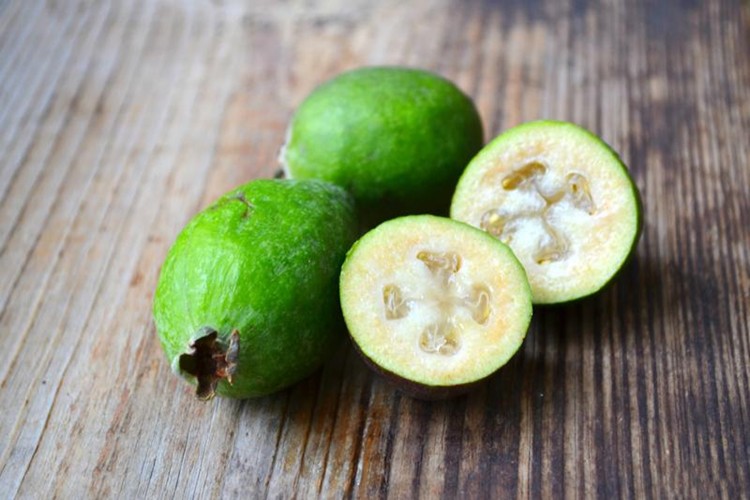 beneficio do suco de feijoa