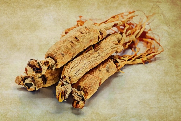  beneficios do ginseng