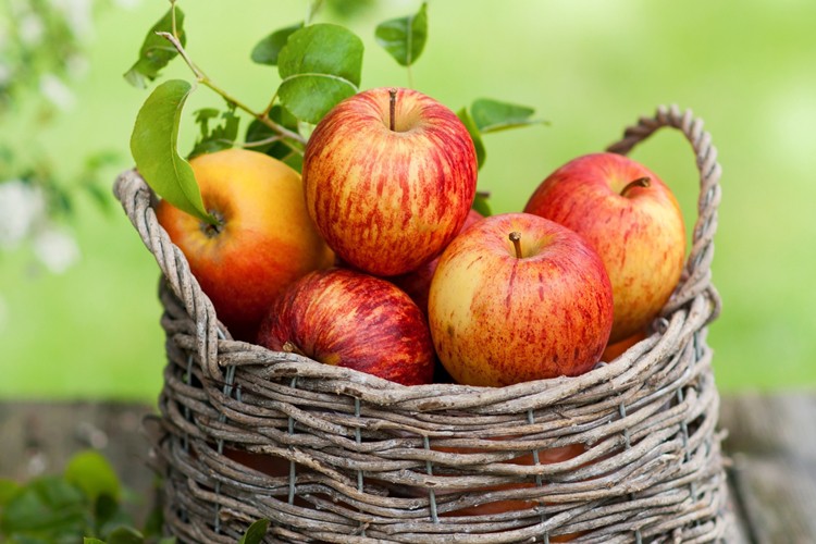 Água de maçã é boa para emagrecer, pele e cabelo: veja os 15 benefícios
