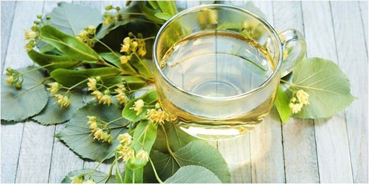 benefícios do óleo de betel para saúde