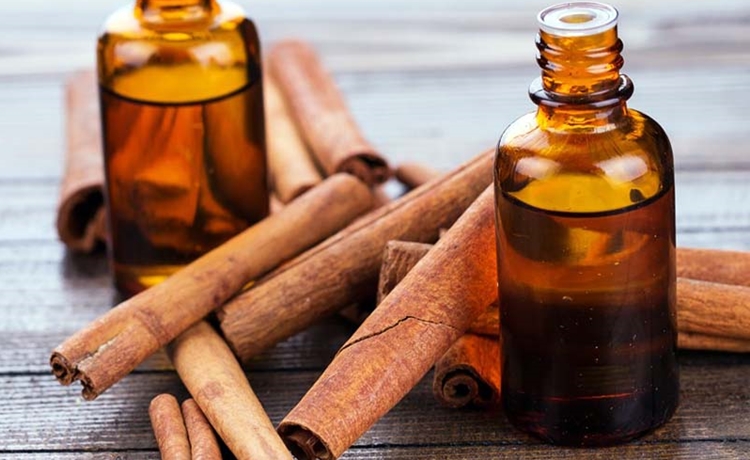Benefícios do Óleo de Canela Benefícios do Óleo de Canela