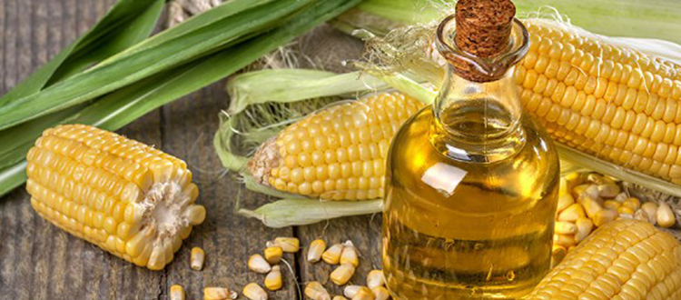 benefícios do oleo de milho