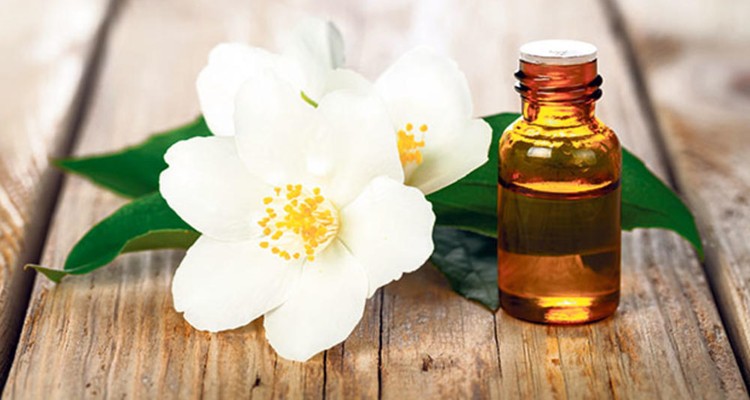 Benefícios do Óleo de Tuberose Benefícios do Óleo de Tuberose