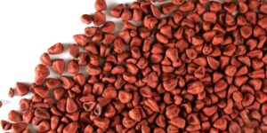 Beneficios da semente de rabanete