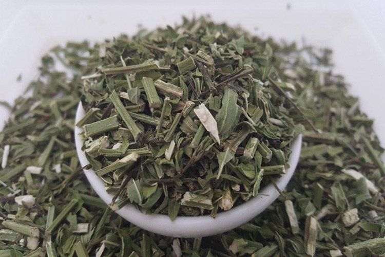 Benefícios da Verbena Benefícios da Verbena