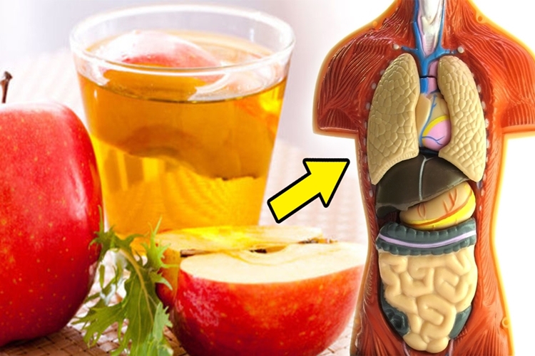 13 Beneficios De Beber Vinagre De Maca Todos Os Dias Dicas De Saude