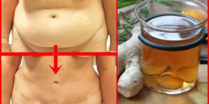 Como receitas para secar a gorduraa gordura da Barriga com Gengibre