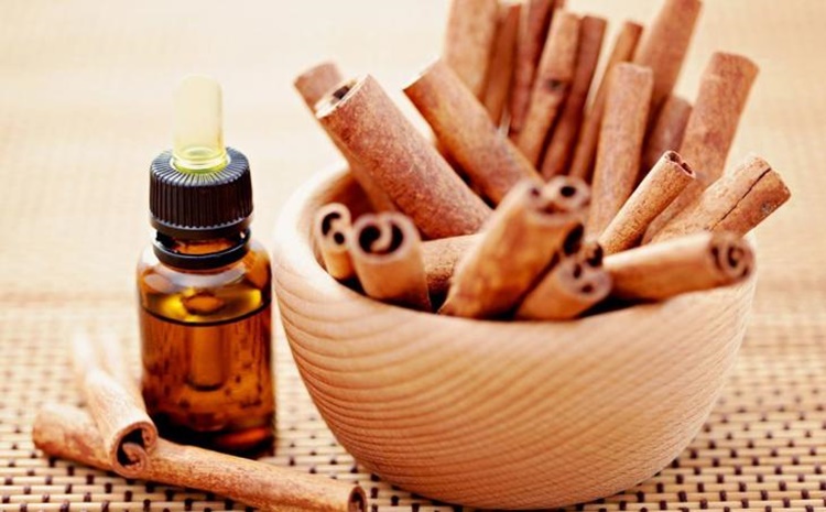 Chá de Canela Emagrece ou Engorda Chá de Canela Emagrece ou Engorda