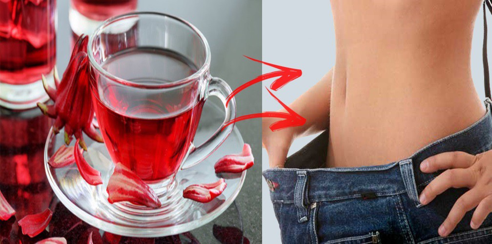 Chá de Hibisco Emagrece ou Engorda? Como Consumir, Benefícios!