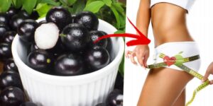 jabuticaba emagrece