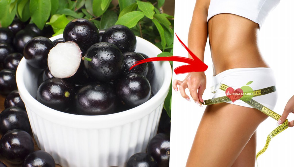 jabuticaba emagrece