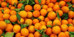 laranja engorda ou emagrece