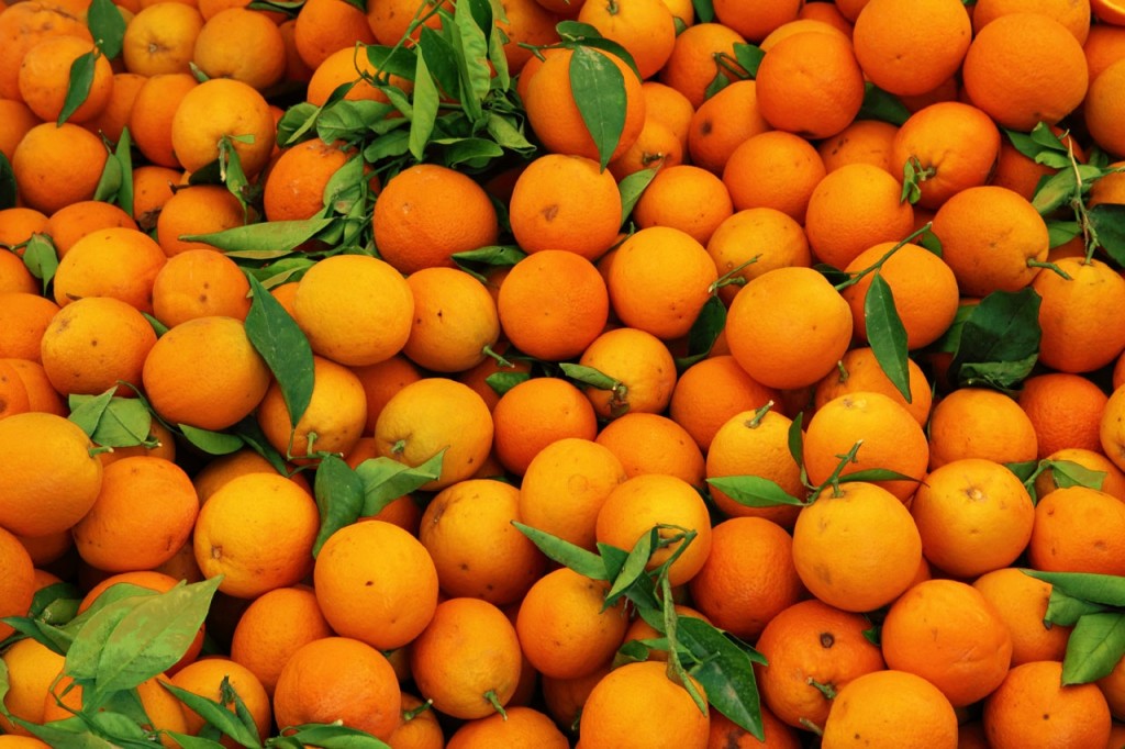 laranja engorda ou emagrece