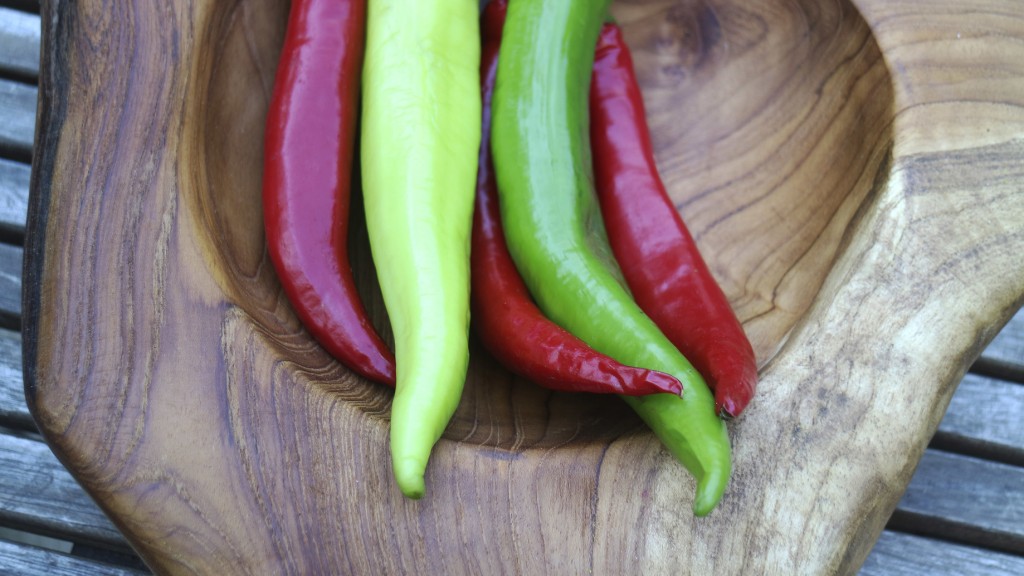 pimenta pimenta