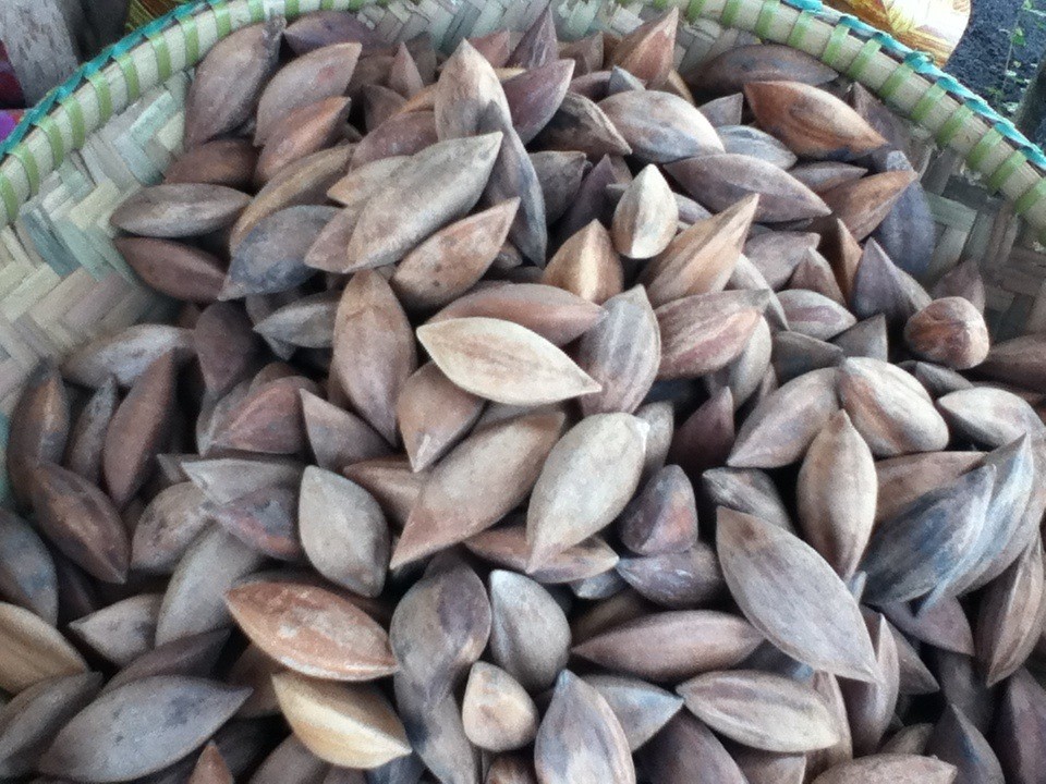 Benefícios da Canarium Ovatum Benefícios da Canarium Ovatum
