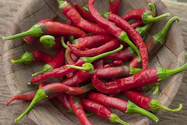 Pimenta Pimenta