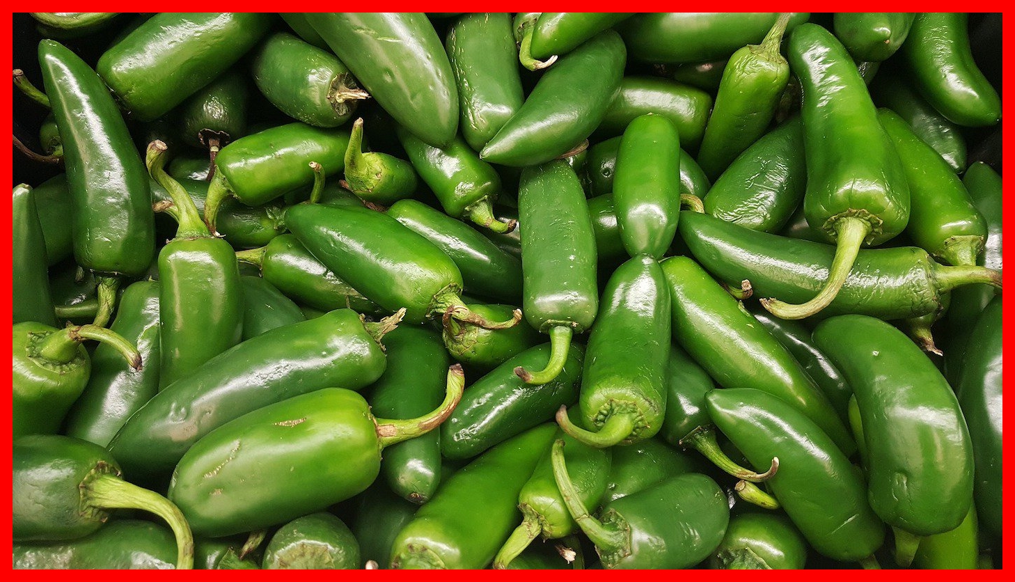 benefícios do pimenta jalapeno