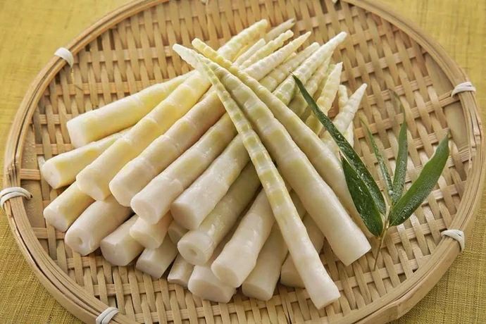 brotos de bambu beneficios