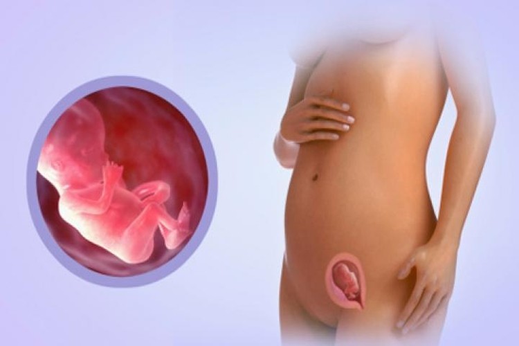 tratamentos para constipaçao durante a gravidez