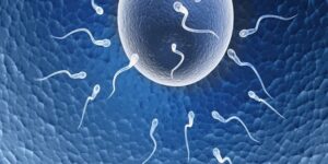 tratamentos para aumentar a fertilidade