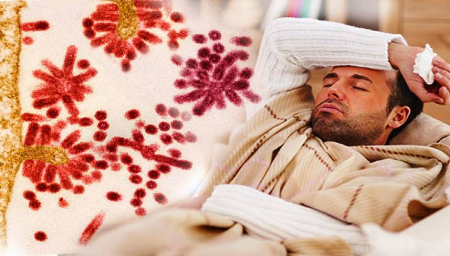 Remédios Caseiros Para Acabar com a Gripe
