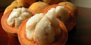 Benefícios do Santol