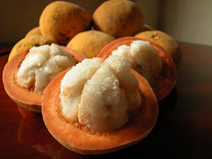 Benefícios do Santol