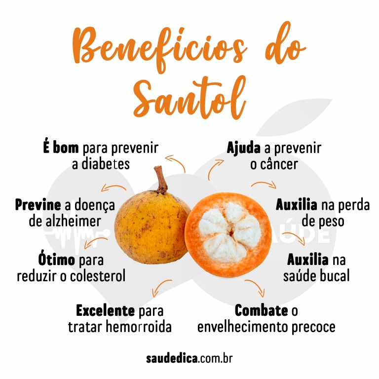 Benefícios do santol para saúde