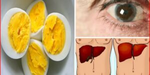 benefícios de comer ovos no cafe da manha