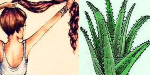 maneiras naturais usar a aloe vera para crescer cabelo