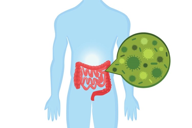 sinais de bacterias ruins no intestino