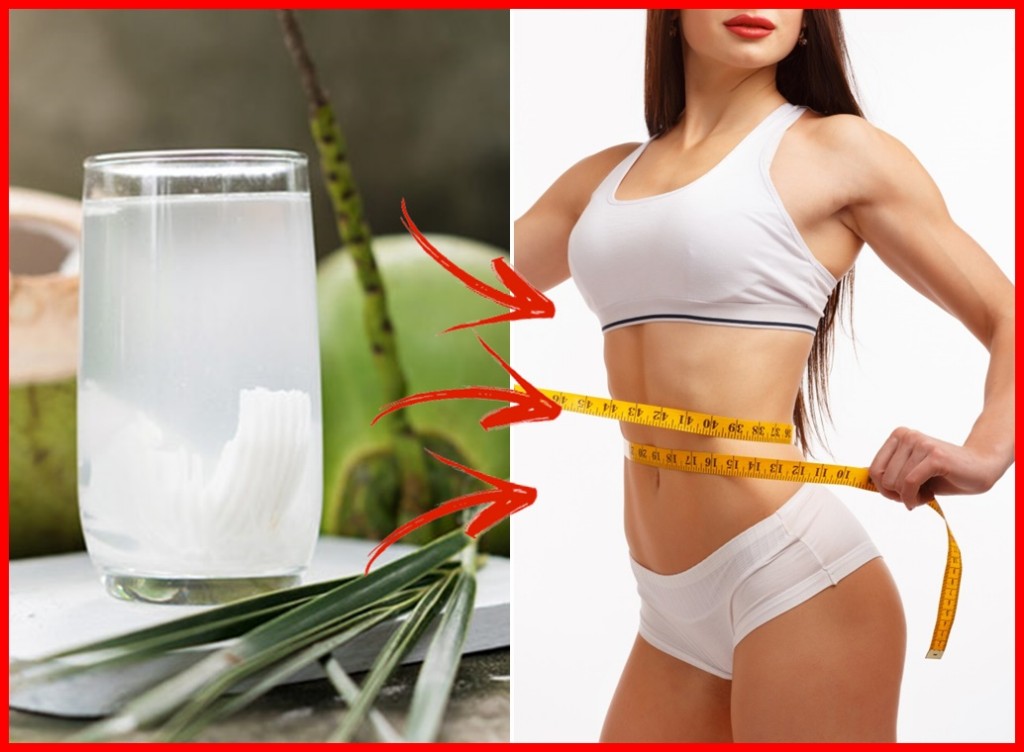 beneficios da agua de coco para perda de peso