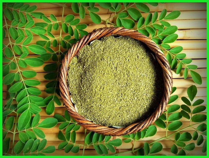 benefícios do pó de moringa