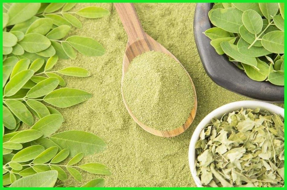 benefícios do po de moringa