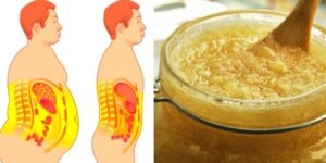 receitas caseiras para eliminar gordura abdominal