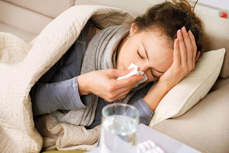 Remédios Caseiros Para Combater a Gripe Remédios Caseiros Para Combater a Gripe