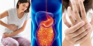 aditivos alimentares que desencadeiam o intestino permeavel