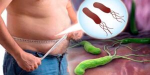 maneiras para combater a bacteria h. pylori