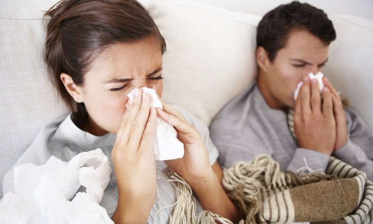 receitas caseiras para tratar a gripe