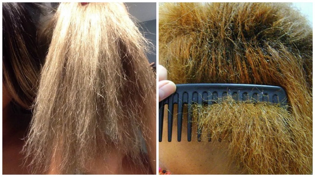 cremes caseiros para restaurar o cabelo danificado