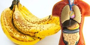 benefícios de comer bananas todos os dias