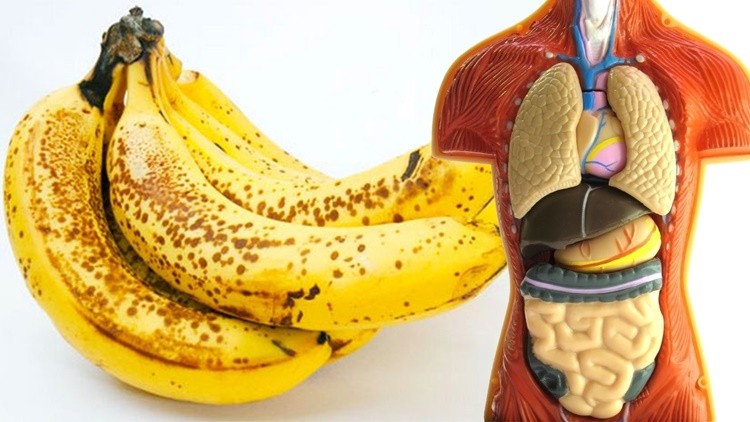 10 benefícios de comer bananas todos os dias | Dicas de Saúde