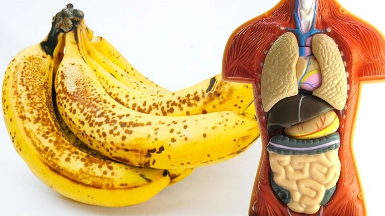 benefícios de comer bananas todos os dias