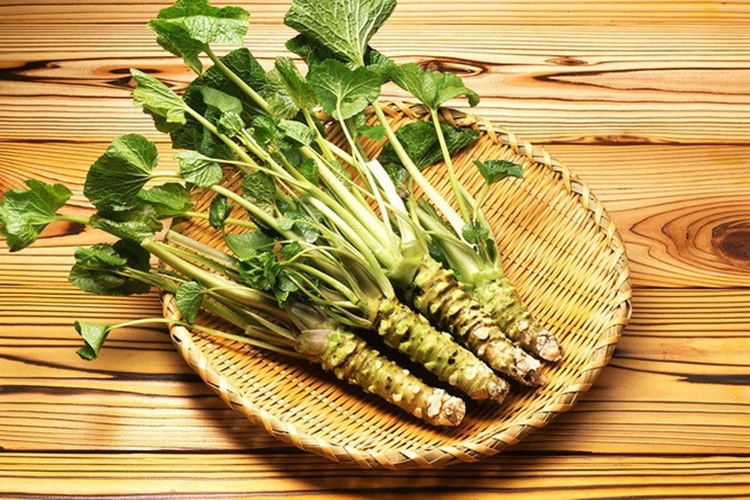 Wasabi Wasabi