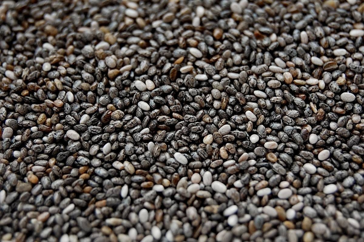 Benefícios das Sementes de Chia Benefícios das Sementes de Chia