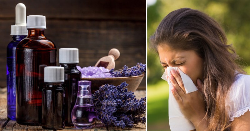 melhores oleos essenciais para tratar alergias