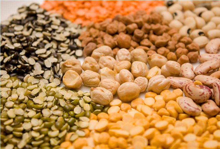 Alimentos Ricos em Fibras Alimentos Ricos em Fibras